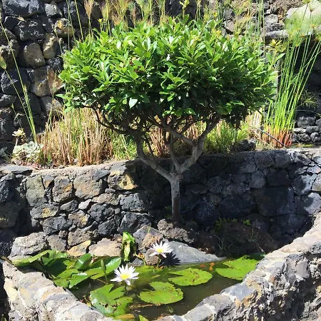 Indigo House Holiday home La Orotava